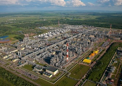 Танеко